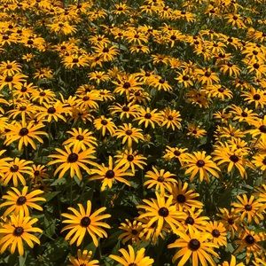 Meet your Posher, Jenni